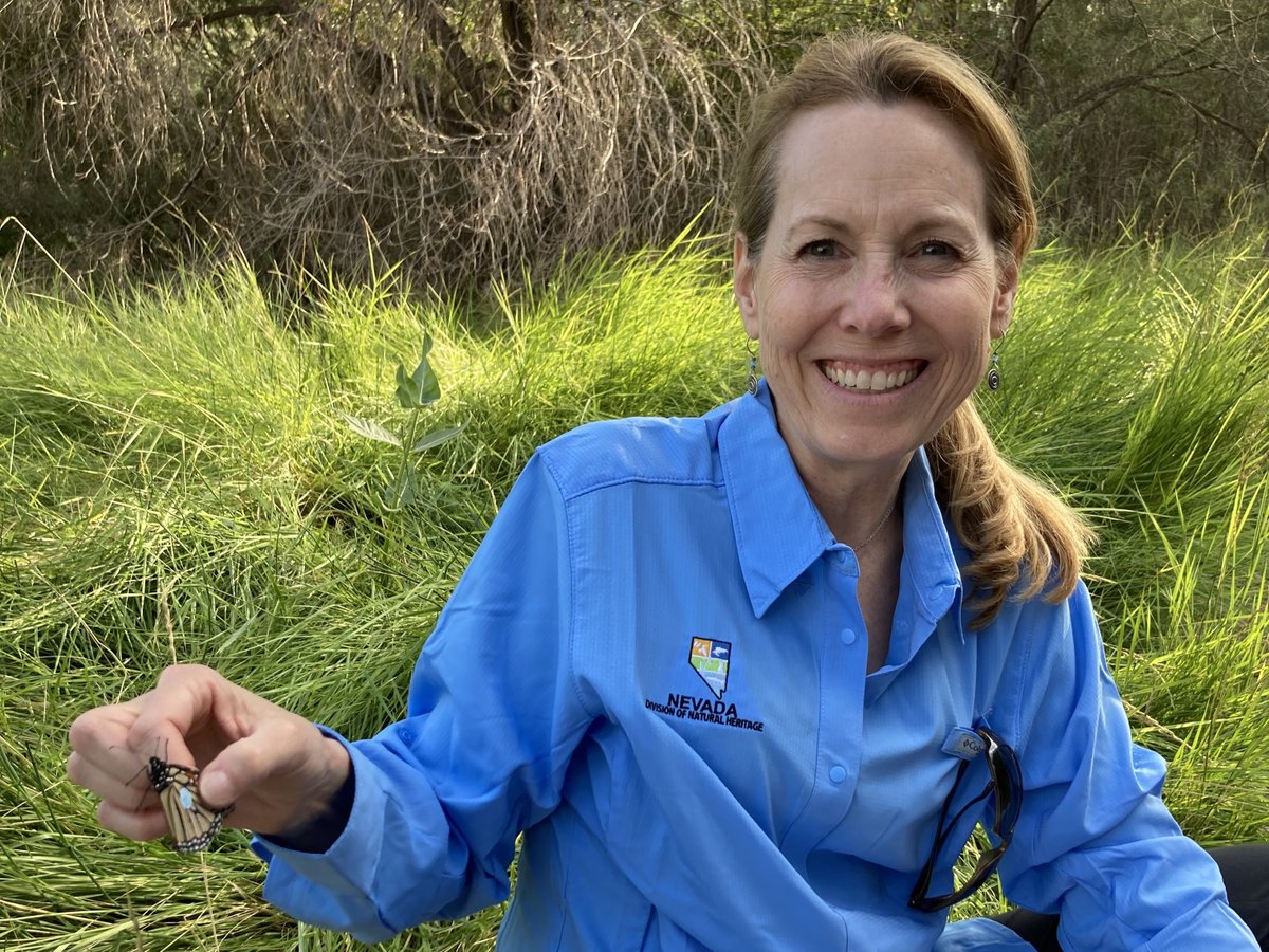 MonarchsJV's tweet photo. The MJV is thrilled to announce that the Nevada Division of Natural Heritage has become an official partner in the network! Learn more about their work: https://t.co/dHIKHt9v89
#westernmonarchs #monarchbutterfly #collaborativeconservation #pollinators #partnership https://t.co/9yC4SpwKJ6