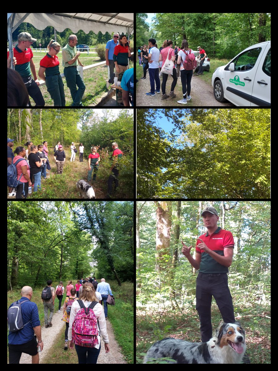 IRAdeMetz's tweet photo. Merci Ă Â @ONF_Officiel pour la prĂ©sentation aux Ă©lĂšves du #label "forĂȘts d'exception".
#BiodiversitĂ©, filiĂšre #bois, acteurs du territoire, reboisement, #incendies, carbone, #sĂ©cheresse : des problĂ©matiques de l'#actionpublique au cĆur des enjeux environnementaux
#foretdexception https://t.co/HeETYlnHs8