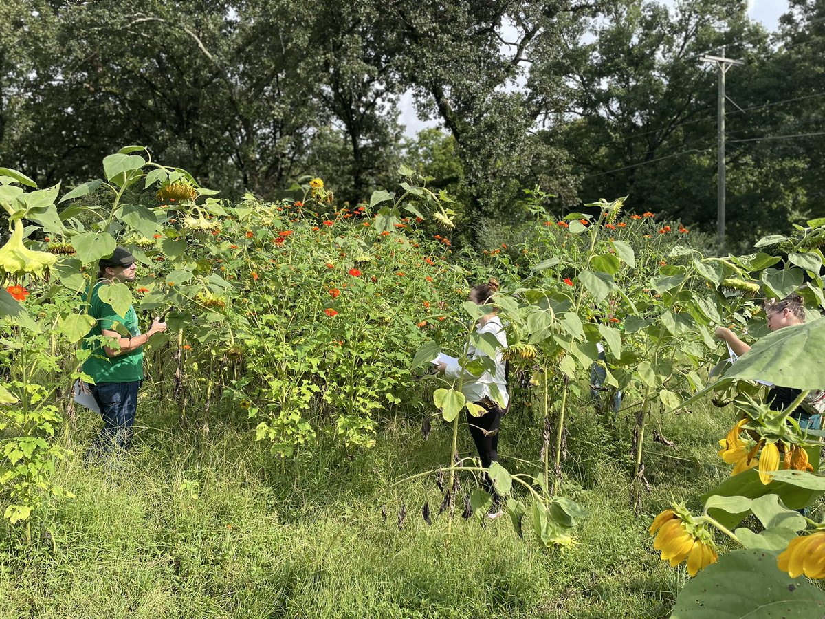 HopeMKlug's tweet photo. My Environmental Stats @UTC_BGE grad students were able to get out of the computer lab and into this beautiful field today thanks to @hunt_nyssa https://t.co/nwahZORFuY