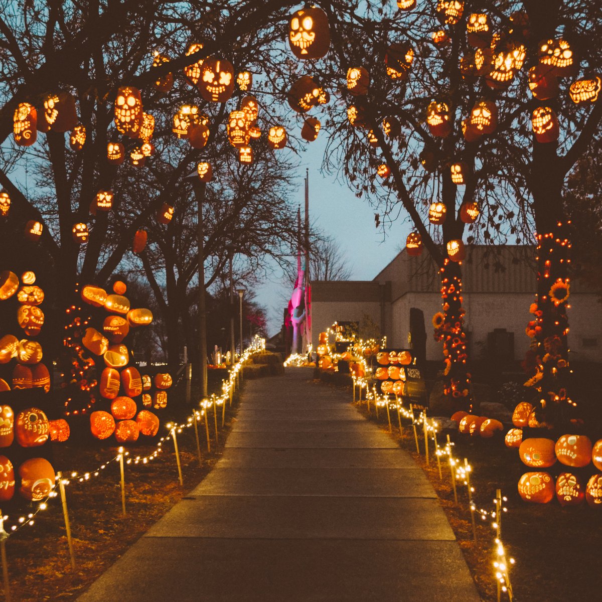 Who else is ready for nights like these? 🥰
🎃🍂☕️👻🎃🍂☕️👻🎃🍂☕️👻
#Halloween #Autumn #Fall