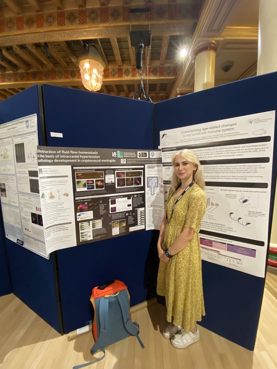 Representing the <a href="/JohnstonLabs/">Simon Johnston</a> at #ZDM15 at poster 098. If you are into cranial vasculature, meningitis and/or fluid flow imaging, I’m your gal! Come check out my poster 🐟 🍄 ❤️