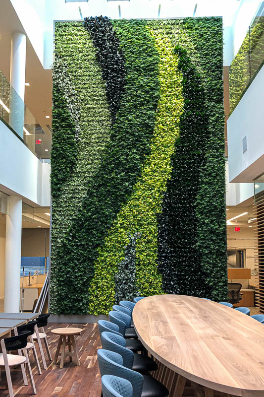 📍Van Dyk Recycling Solutions - Norwalk, Connecticut 🌱 Versa Wall® 👉 The wall is installed in the company’s Café area, which is located in a centralized location between offices. The design of the wall creates sweeping wave-like shapes with plants of different shades.