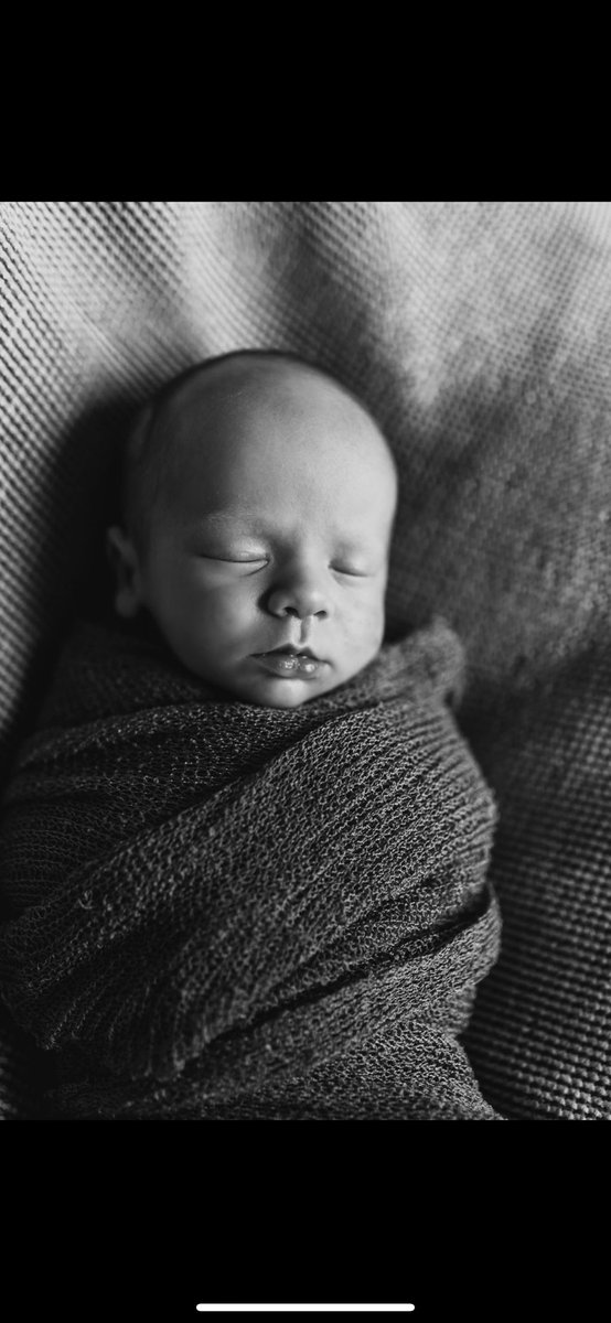 halimaee's tweet photo. my heart has never been so whole🫶🏻🥹 #tannerjames #onlytans https://t.co/5nMWwnUtAZ