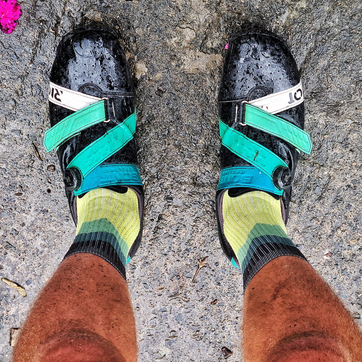 Storage_Mark's tweet photo. Wet roads, dirty legs, and big smiles! π§οΈππ
Been blessed with the weather of late, but was something satisfyingly soulful about being out there in the rain and wind today, getting it done and clearing the mind. ππ
.
#MadeToMove #EmbraceTheDay #FindFunInEverything #WinTheDay https://t.co/vvlsOJBtDi