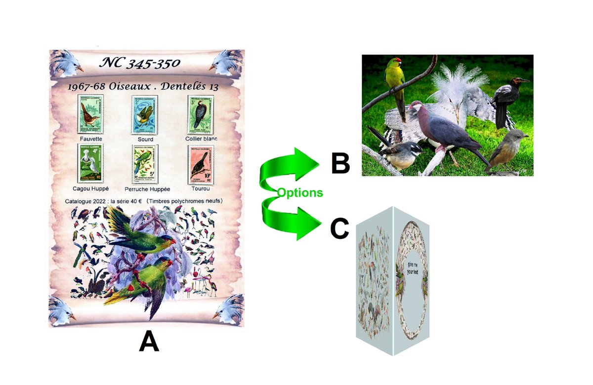 barbierjeanf's tweet photo. A promotional offer for this creation, a unique item made in 1 single copy
The birds of New Caledonia, complete and vintage series of collectible stamps by JFBdecor https://t.co/tG43Q8SSBa via @Etsy
#newcaledoniastamp1967 #customizablecard #vintagebirdstamp #A4artprint #giftidea https://t.co/o6VSHoN6jk