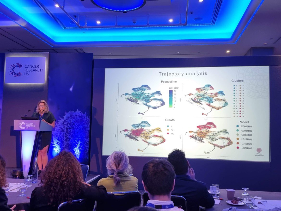 Nelander Lab (@nelander_lab) on Twitter photo Milena presenting on route-specific mechanisms of GBM invasion at the <a href="/CRUKresearch/">Science and Innovation at Cancer Research UK</a> brain tumor conference. Great work Milena! ⭐️ Milena presenting on route-specific mechanisms of GBM invasion at the <a href="/CRUKresearch/">Science and Innovation at Cancer Research UK</a> brain tumor conference. Great work Milena! ⭐️