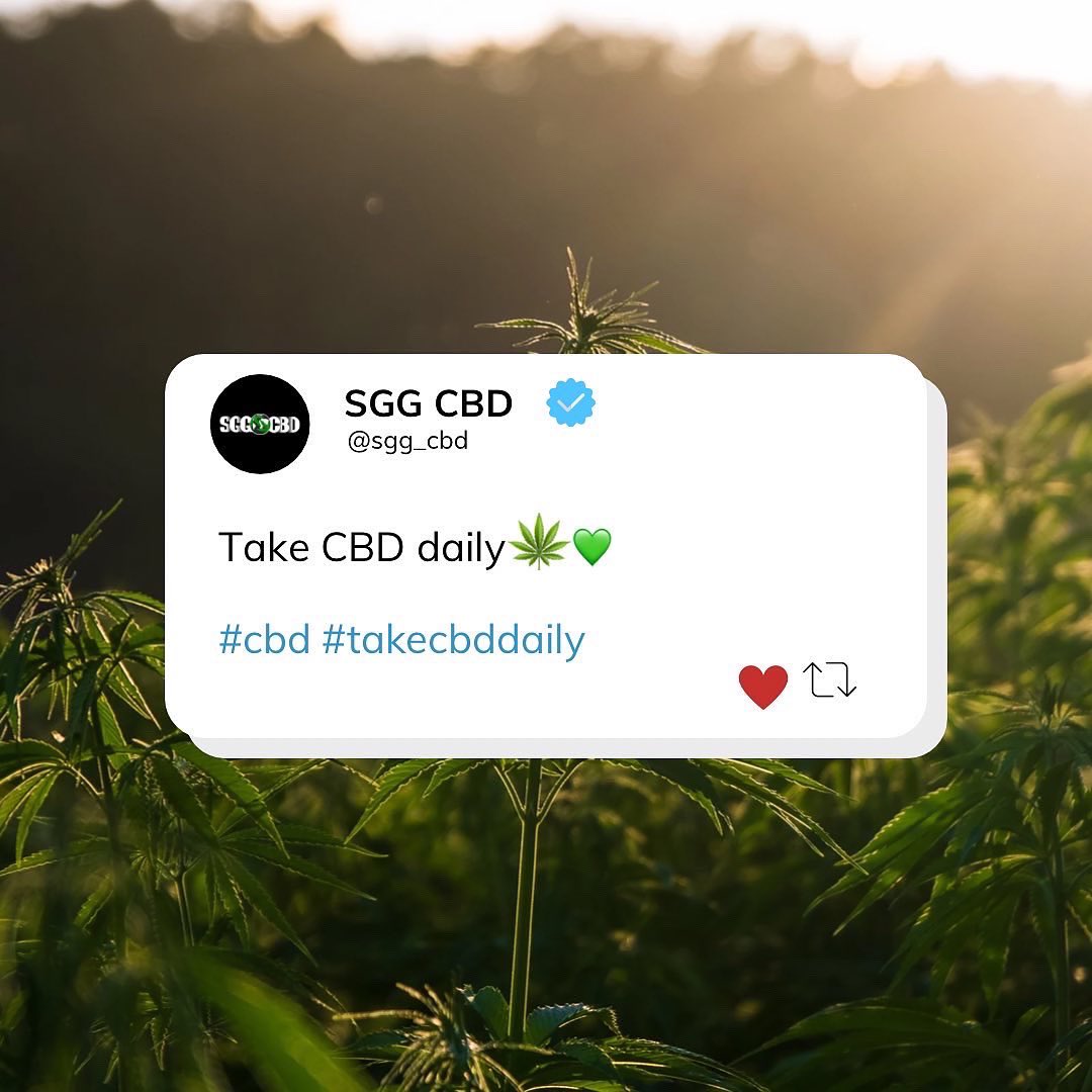 sgg_cbd's tweet image. 5 reasons to use CBD 🌱💚

👇Follow the link below for all your CBD needs👇
sggcbd.co.uk

#cbduk #cbd #cbduser #cbdhealth #cbdproducts #cbdeducation #cbdcommunity #cbdwellness #cbdshopuk #cbdselfcare #cbdmovement #cbdlife #cbdoil #cbdgummies #cbdbalm #cbdvape
