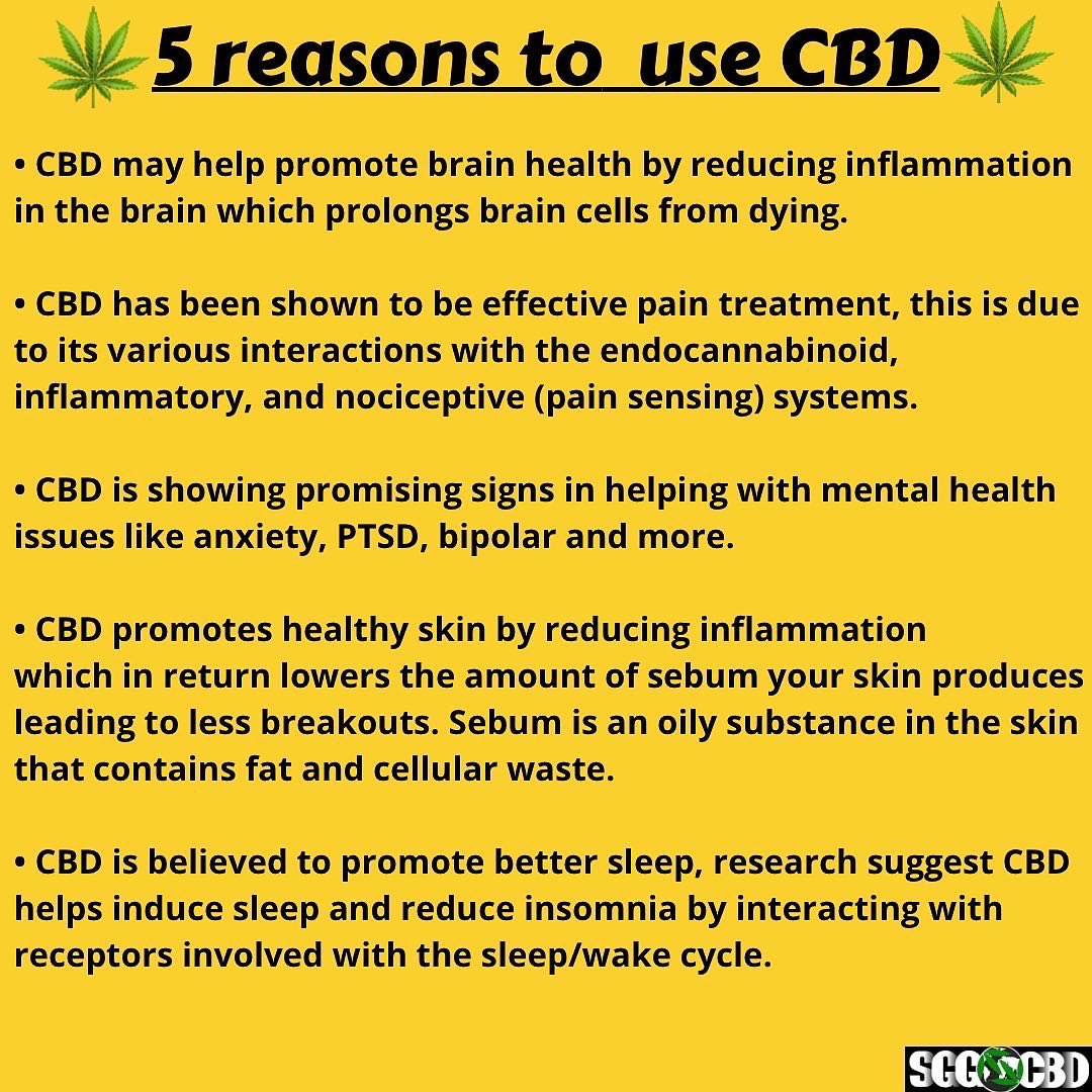 sgg_cbd's tweet image. 5 reasons to use CBD 🌱💚

👇Follow the link below for all your CBD needs👇
sggcbd.co.uk

#cbduk #cbd #cbduser #cbdhealth #cbdproducts #cbdeducation #cbdcommunity #cbdwellness #cbdshopuk #cbdselfcare #cbdmovement #cbdlife #cbdoil #cbdgummies #cbdbalm #cbdvape