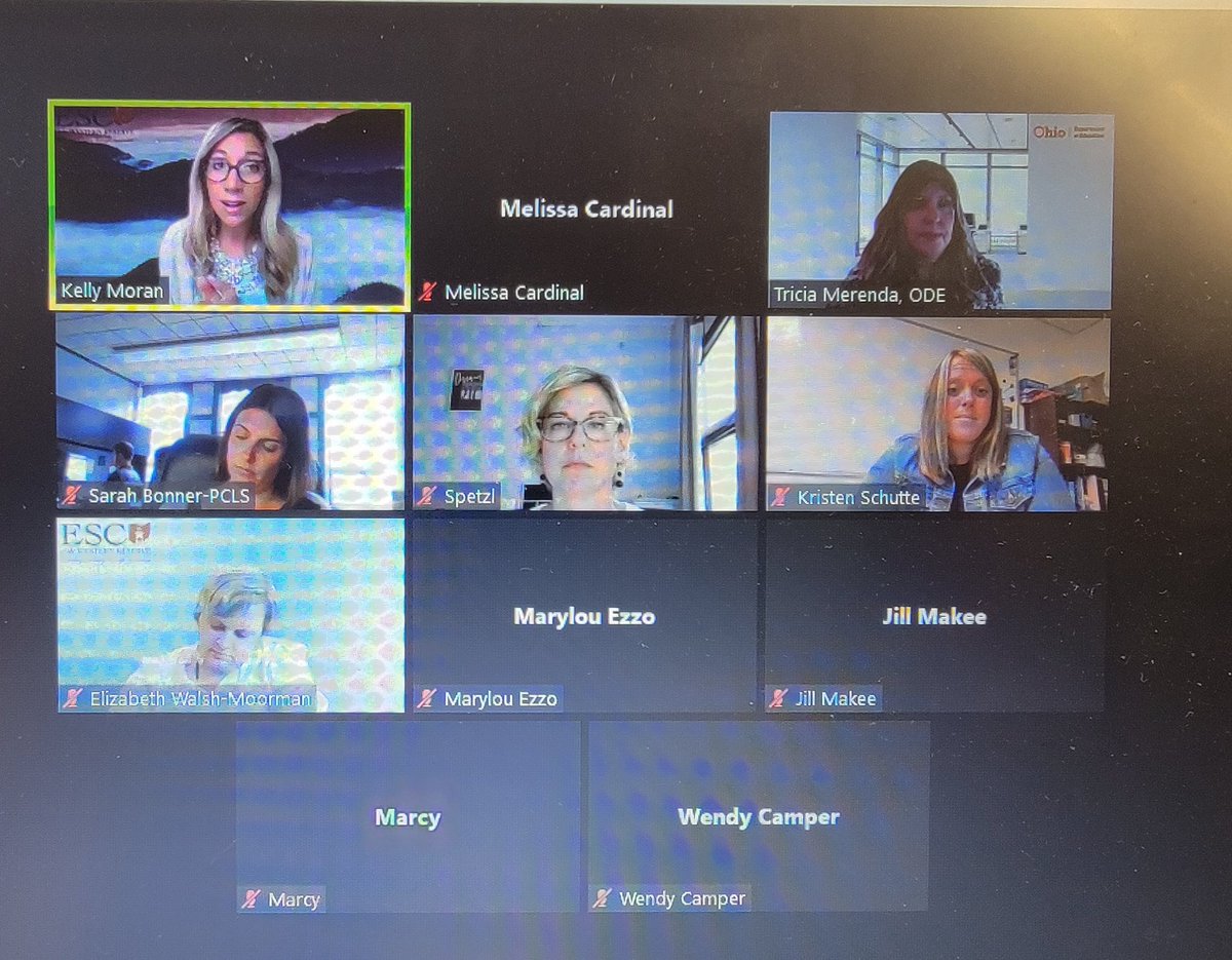 MCardinal32's tweet photo. Thank you @KellyAnnMoran for today's Dyslexia Support Laws and Guidebook session. Lots of important information shared with all of us. @ESCoftheWR #escwrPD https://t.co/UZXAE4HuYe