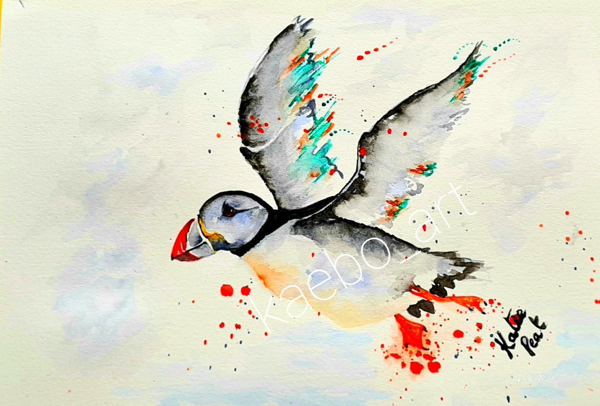 KaebolA's tweet photo. @CarlBovisNature Very simular to my painting! https://t.co/3sSYlhuJMm