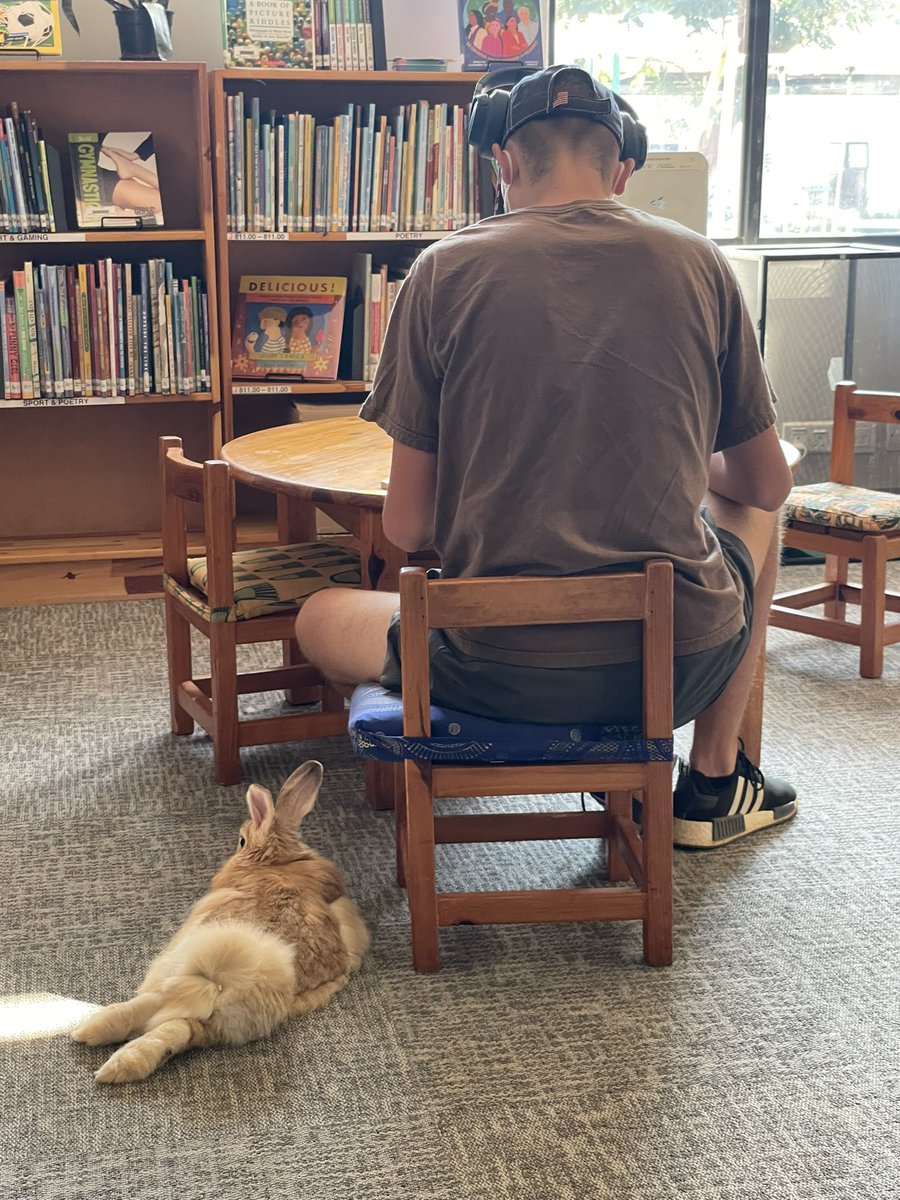 jcd118's tweet photo. When you just need a friend quietly sitting by your side as you finish your school day. #supportrabbit #librarylife @AISLusaka @AISA_Schools #Africaed #intlchat https://t.co/kdnyUkL580
