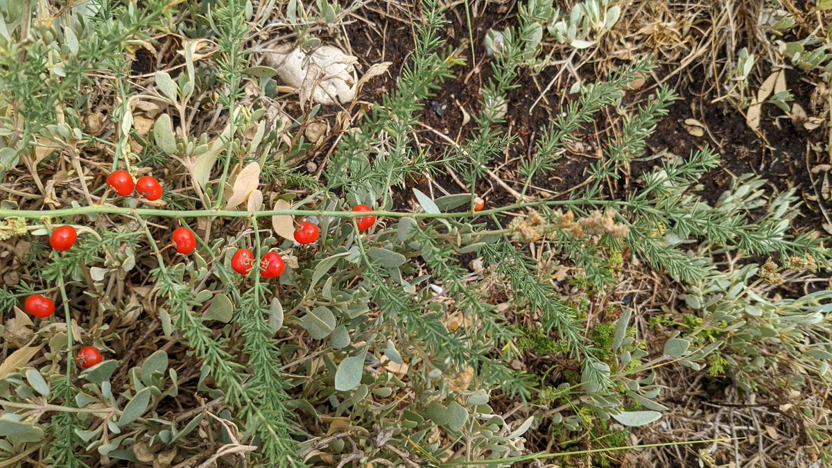 Tom Brereton tweet media