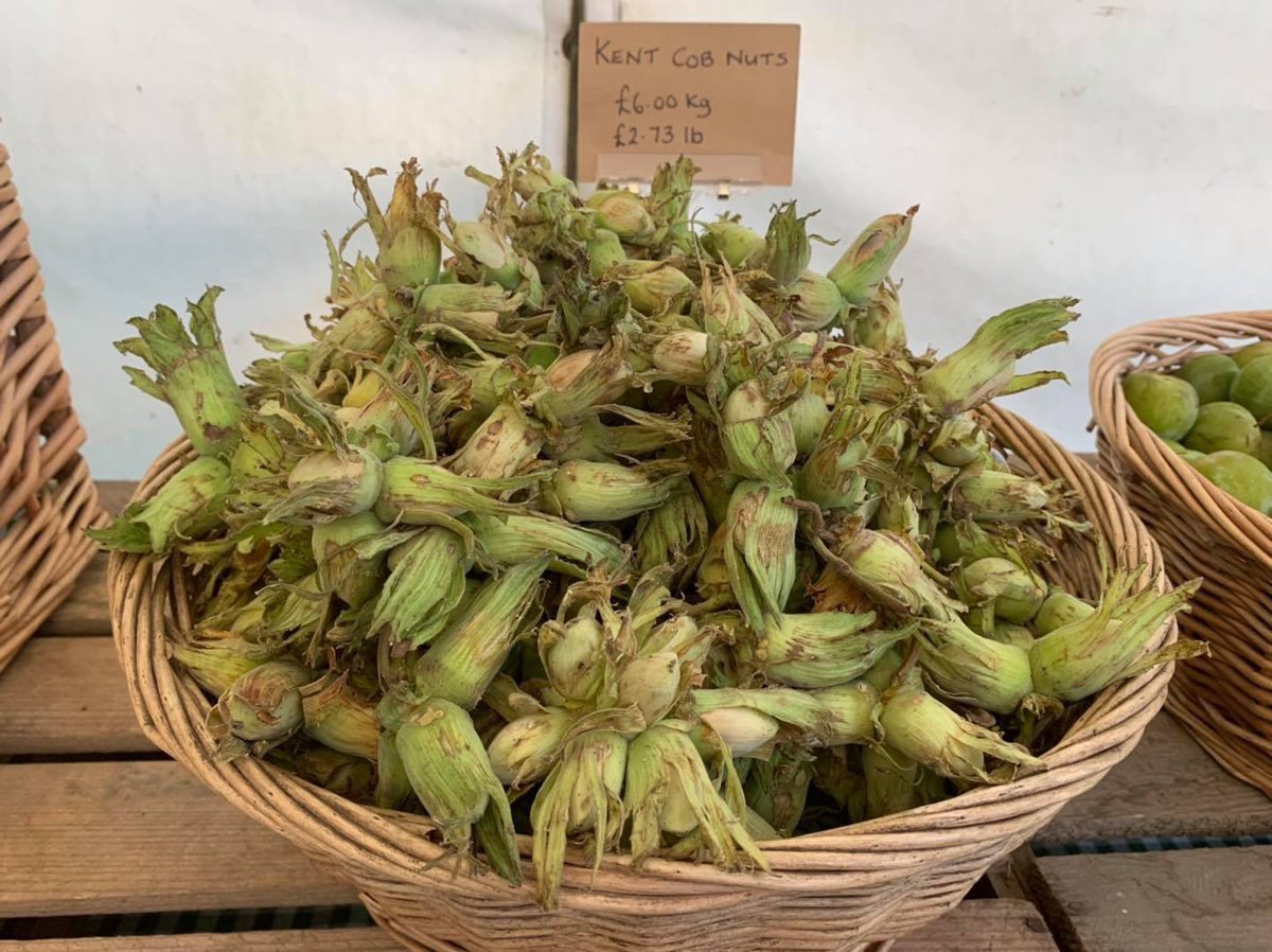 StanhillFarm's tweet photo. 🥜 Cobnuts are now available to buy from our Farm Shop! Priced at £6.00 per kilo. 🥜👌Grown at Roughway Farm in Kent, these delicious nuts are packed with vitamins and calcium, and are low in cholesterol.👌
#cobnuts #roughwayfarm #kentish #kent #producedinkent #stanhillfarm https://t.co/Mky3YWfigB