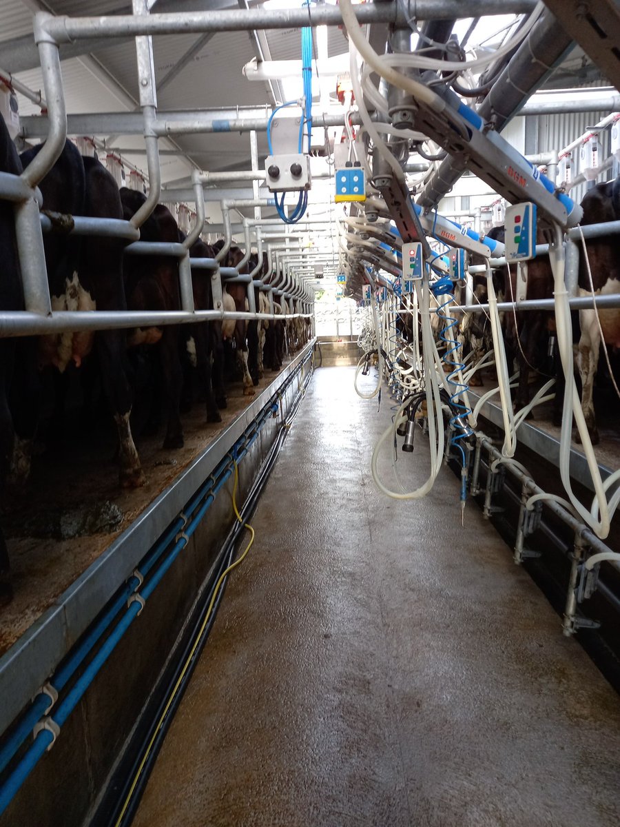 Colin Doherty tweet media