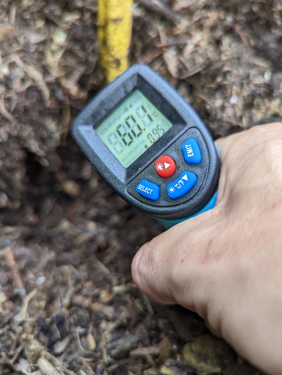 TempleGrower's tweet photo. A new personal best! Broke +60°C in my #compost! That is HOT! 🥵 Gotta have ridiculously vigorous microbial action to get up that high! I used ~25kg of okara so that would do it... Epic!♻️🌱
#CompostYourOwn #GardenersGold https://t.co/zCHyE4TAsJ