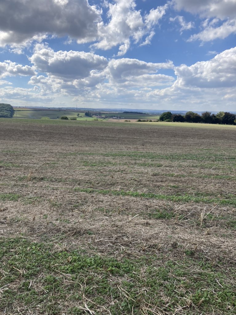 Great day yesterday on farm in Yorkshire, exploring issues arising in last years crop, working to prevent similar issues this next season #healthysoil #soilhealth #regenag #highmagsoil