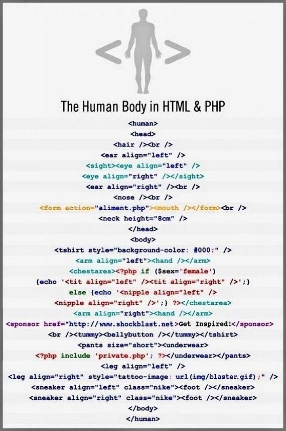CodersLeaf's tweet photo. The Human Body in HTML &amp; PHP 
#html #PHP #HTML5 #Angular #Angularjs #Al #100DaysOfCode #gistlovers #ReactJS #javascript #codersleaf https://t.co/dU9WYYGIS0