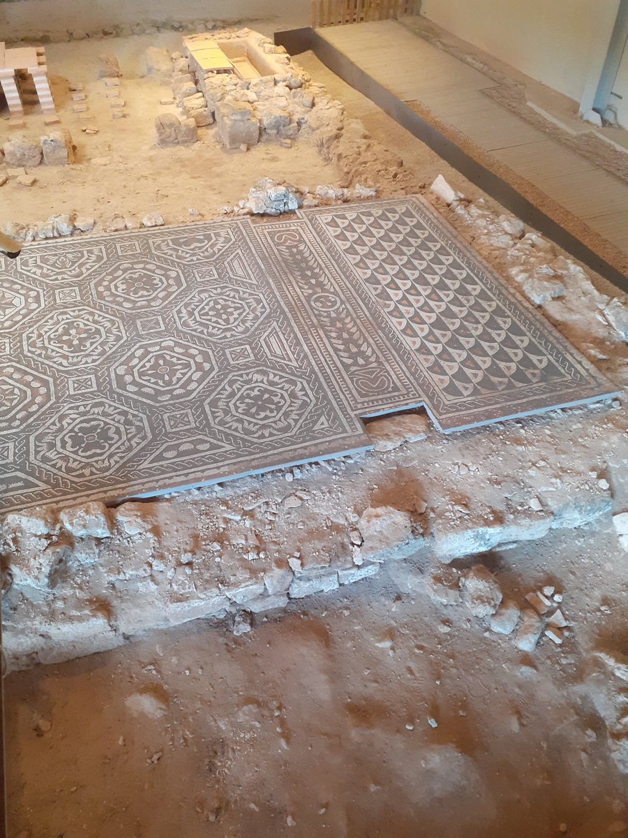 StellaStellae's tweet photo. #EPACVI #EPACActivo ¡la villa de los mosaicos geométricos! Villa Romana de La Dehesa de Soria https://t.co/y4oCctp7S9