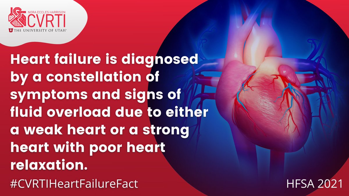 NEH_CVRTI's tweet photo. Today's #CVRTIHeartFailureFact takes a closer look at how #heartfailure is diagnosed 🩺

#hearthealth #cardiovascular #research #cardiovascularresearch #cardiovascularhealth #heartdisease #utah #cvrtihearfailurefact #tuesdayfact #heartfact https://t.co/f3mpNDTrbW