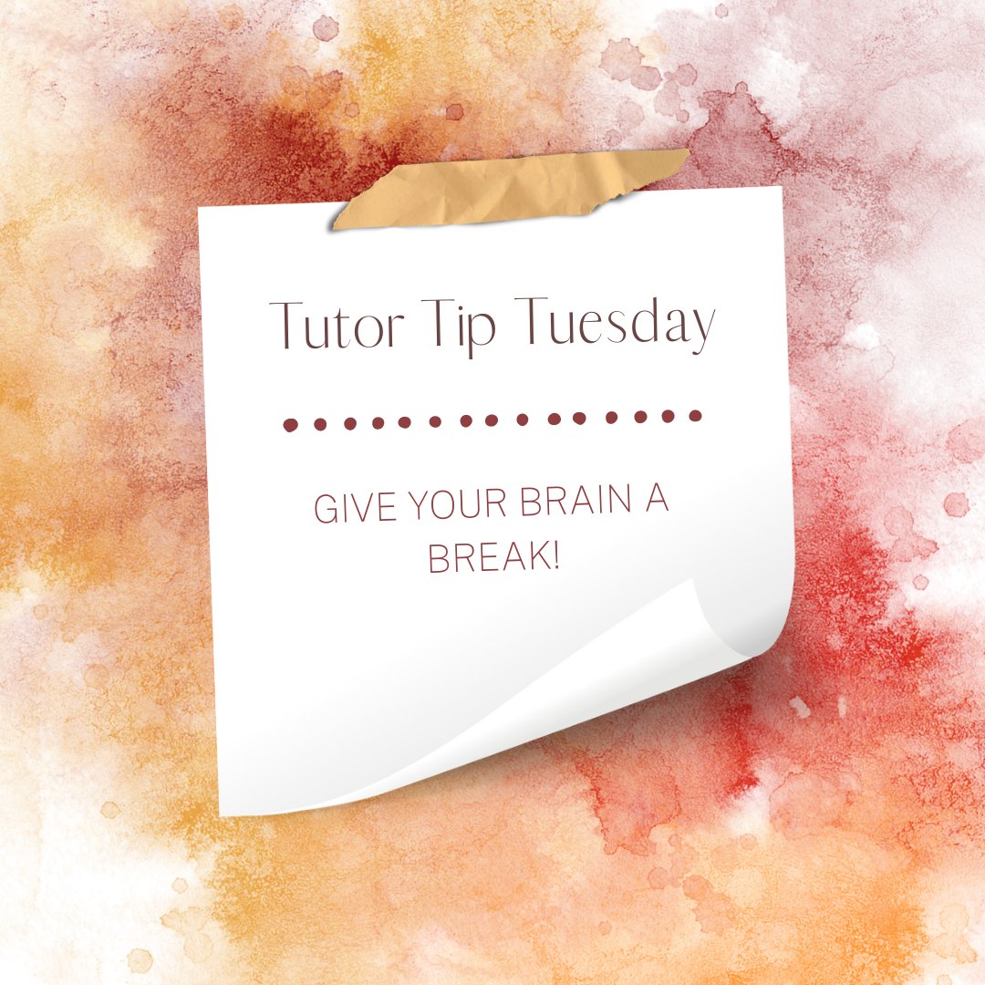 1stPlaceTutor's tweet photo. Today's Tutor Tip Tuesday is to give your brain a break! Taking breaks allows your brain time to process new information. Step away from your desk. A 5-minute break can make a huge difference!
·
·
·
#1stplacetutoring #break #study #college #highschool #process #tutortiptuesday https://t.co/i6mnUz3k2Q
