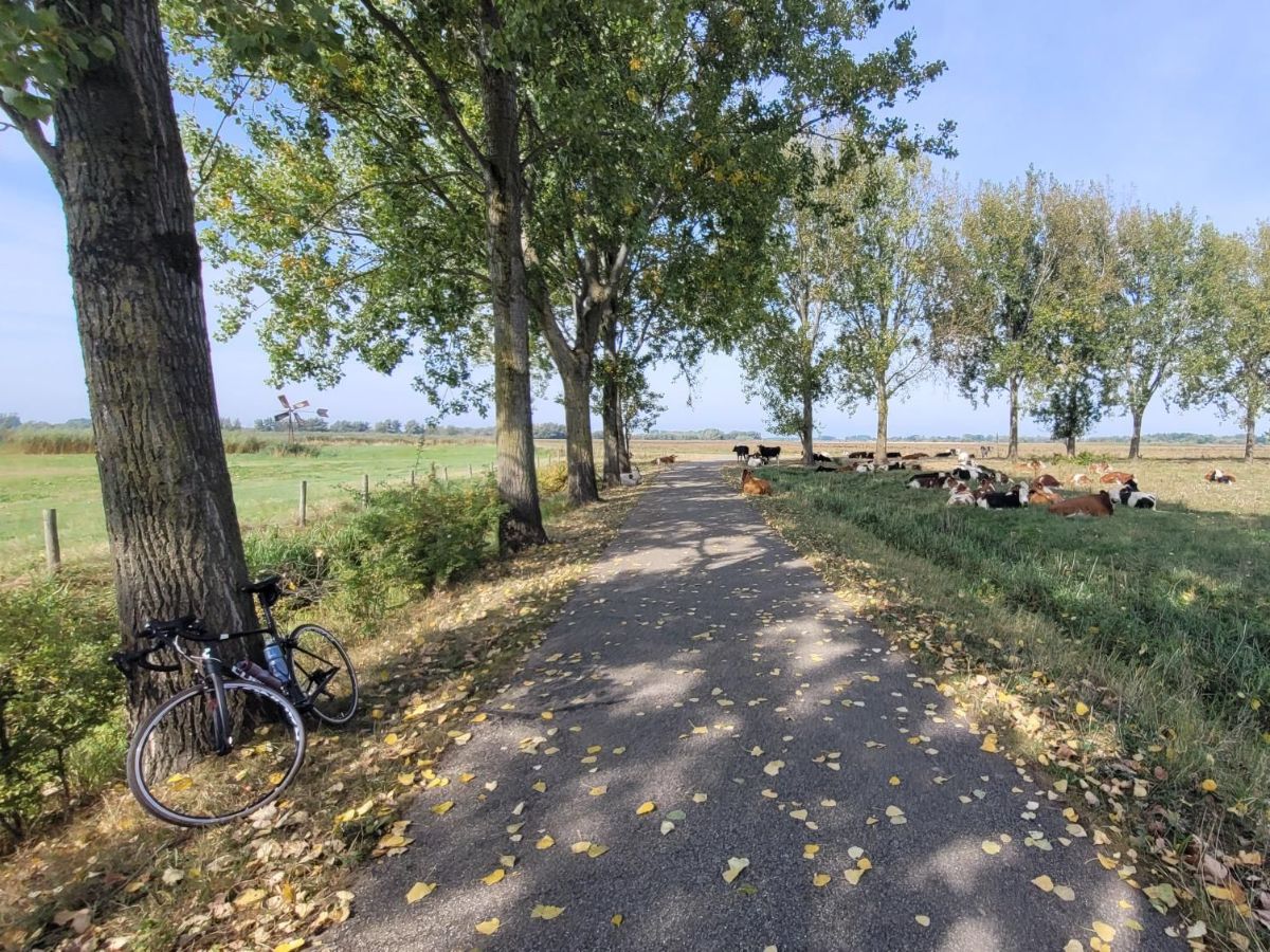 KumbatioNL's tweet photo. De derde week van Walk with Kumbatio! - https://t.co/CCwWrSlpfE
We zitten inmiddels in Bulgarije door de afstanden van onze Bikkels! Allemaal voor het community training center in Kenia https://t.co/9ooW5HjJNU