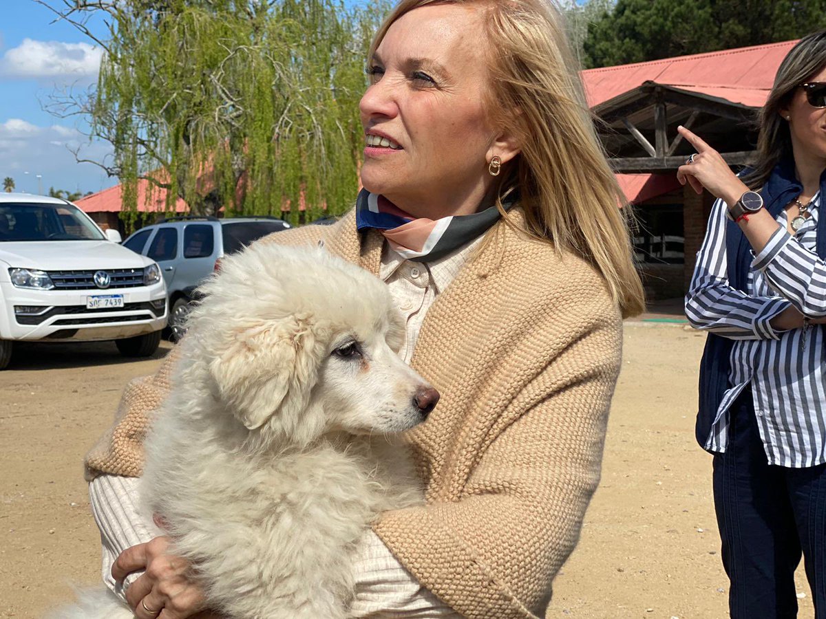 beatrizargimon's tweet photo. En la Sociedad Agropecuaria de Rocha, participando del lanzamiento de la Zafra Ovina 2022-2023 🐑

Sabemos del valor productivo, social y cultural que tiene el rubro ovino en nuestro país, en ese sentido, continuaremos trabajando para su desarrollo nacional e internacional. https://t.co/b6k8LayWOI