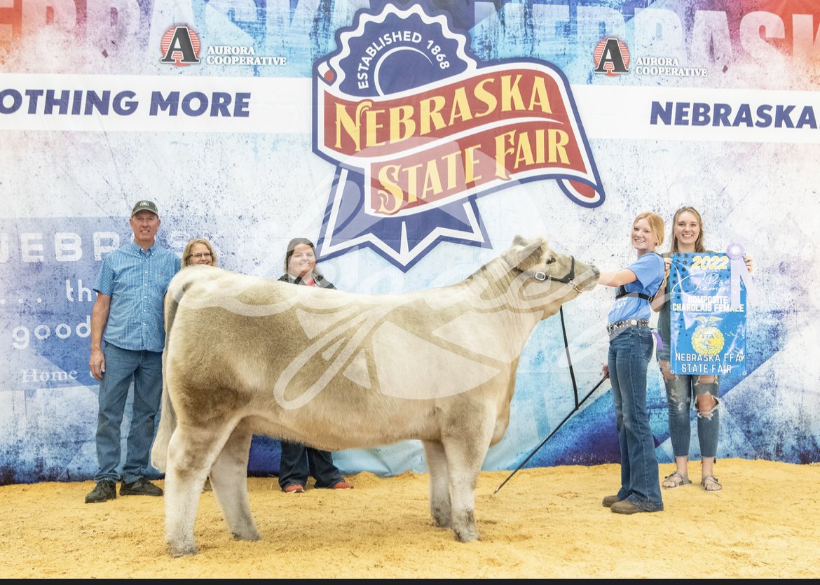 Reserve Champion Composite Charolais Heifer. Congrats to Sarah Mead!!!