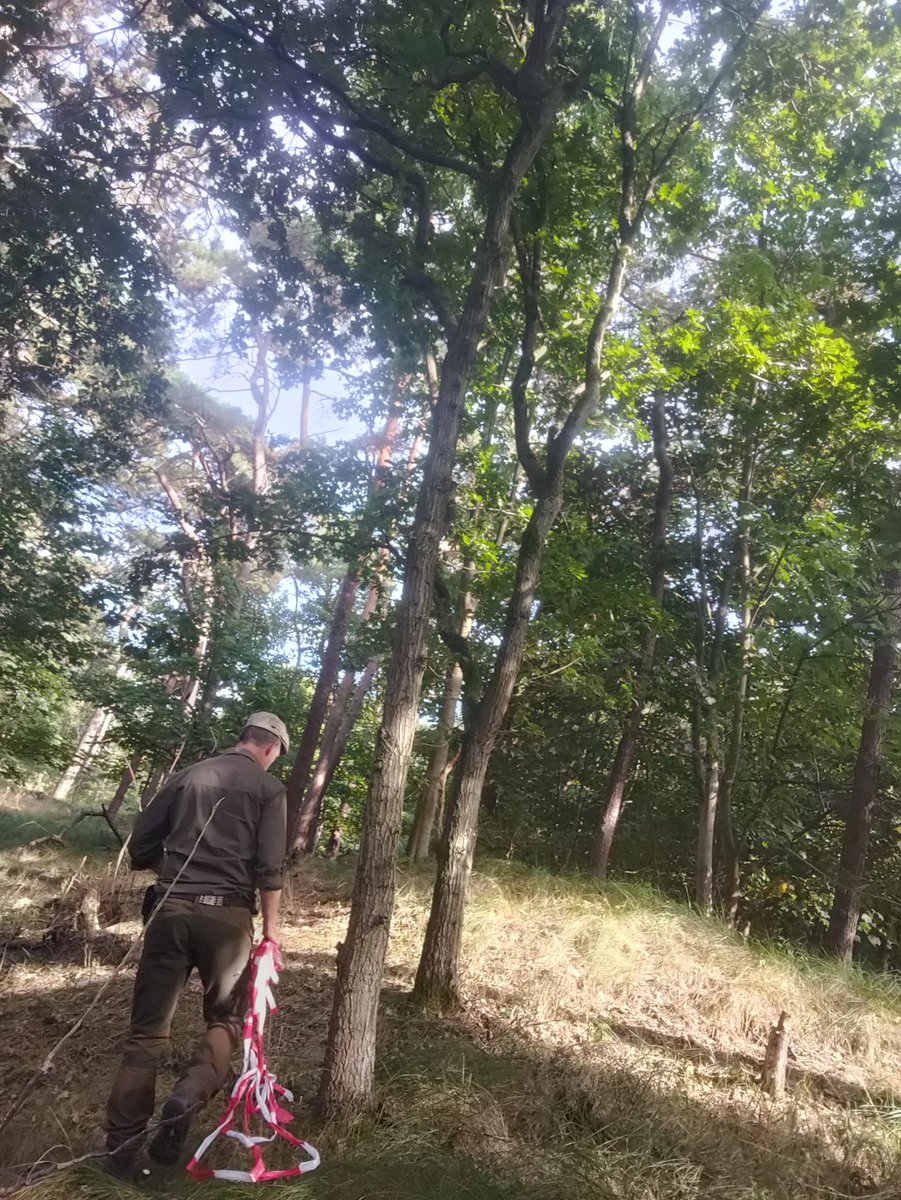 Ecologische begeleiding in het kader van de Wet natuurbescherming. Speuren naar sporen!