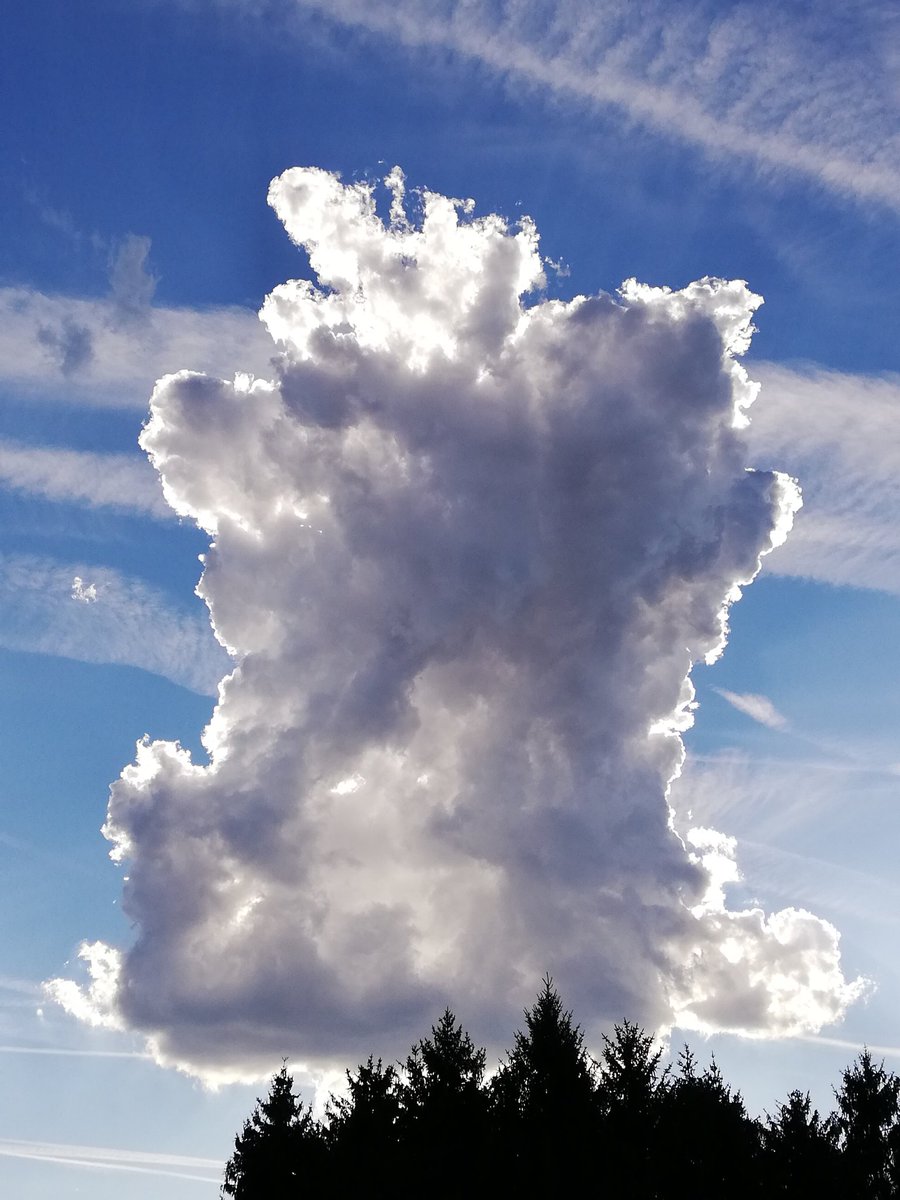 🌿 Einen schönen Abend
wünsche ich uns allen! ⭐