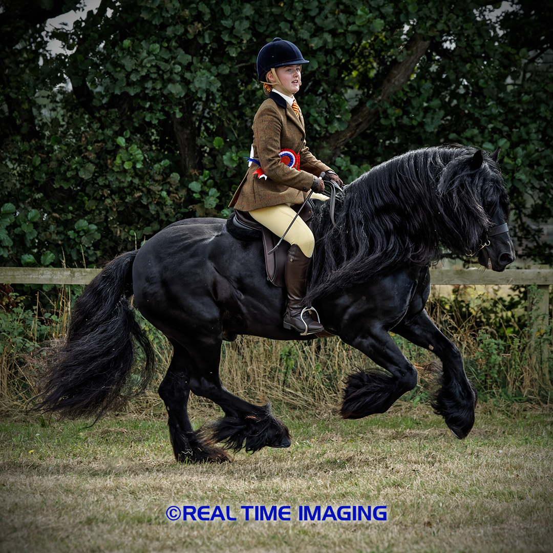 NCPA Pony Of The Year Show Proofs now available
realtimeimaging.co.uk/p/20667mmf/ncp…
conta.cc/3cLxIJb
conta.cc/3eu65Vv