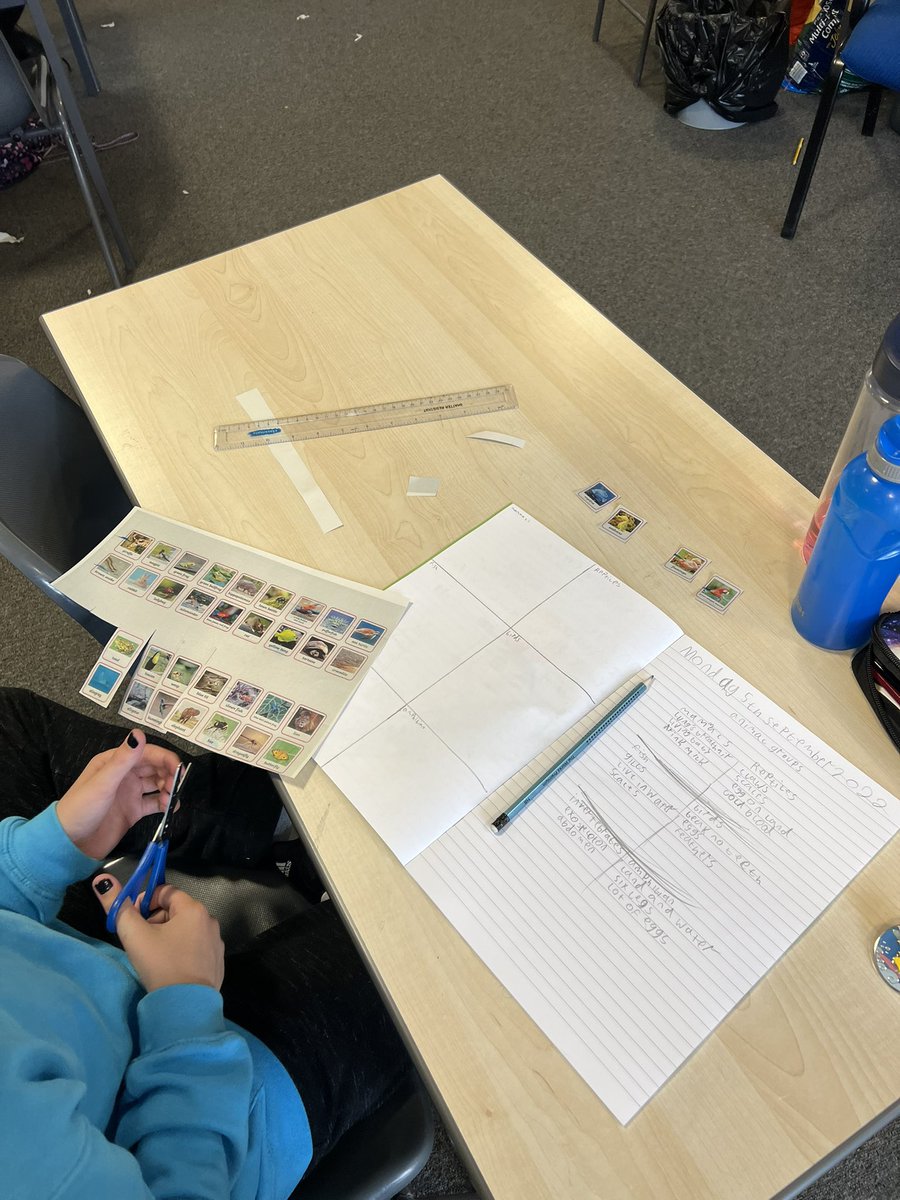 EmsleyMiss's tweet photo. 🦓 Animal Groups 🐠 

P7 using their notes about the 6 main animal groups to sort various animals into the correct category. 

Lots of concentration and great conversation about why each animal fits into their group! https://t.co/5sDg8VCOvz