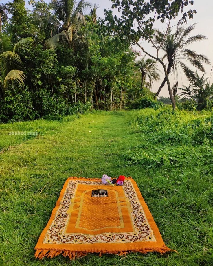 Allah'ım kalbimi Sen'den gelen sevinçle nasiplendir.