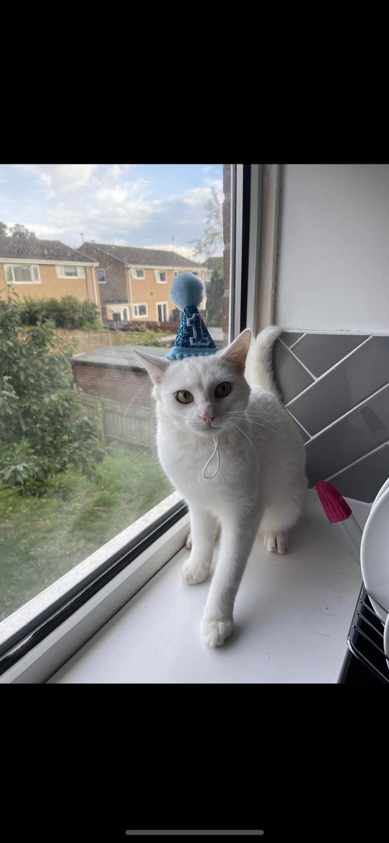 fc_telegraph's tweet photo. Everyone at the Royal Telegraph would like to wish Roy Novak Young (son of graph legend and ex northern league player, @josephyoung26) a happy first birthday!! They really do grow up so fast #RTFC https://t.co/aaqQ8GSYHy