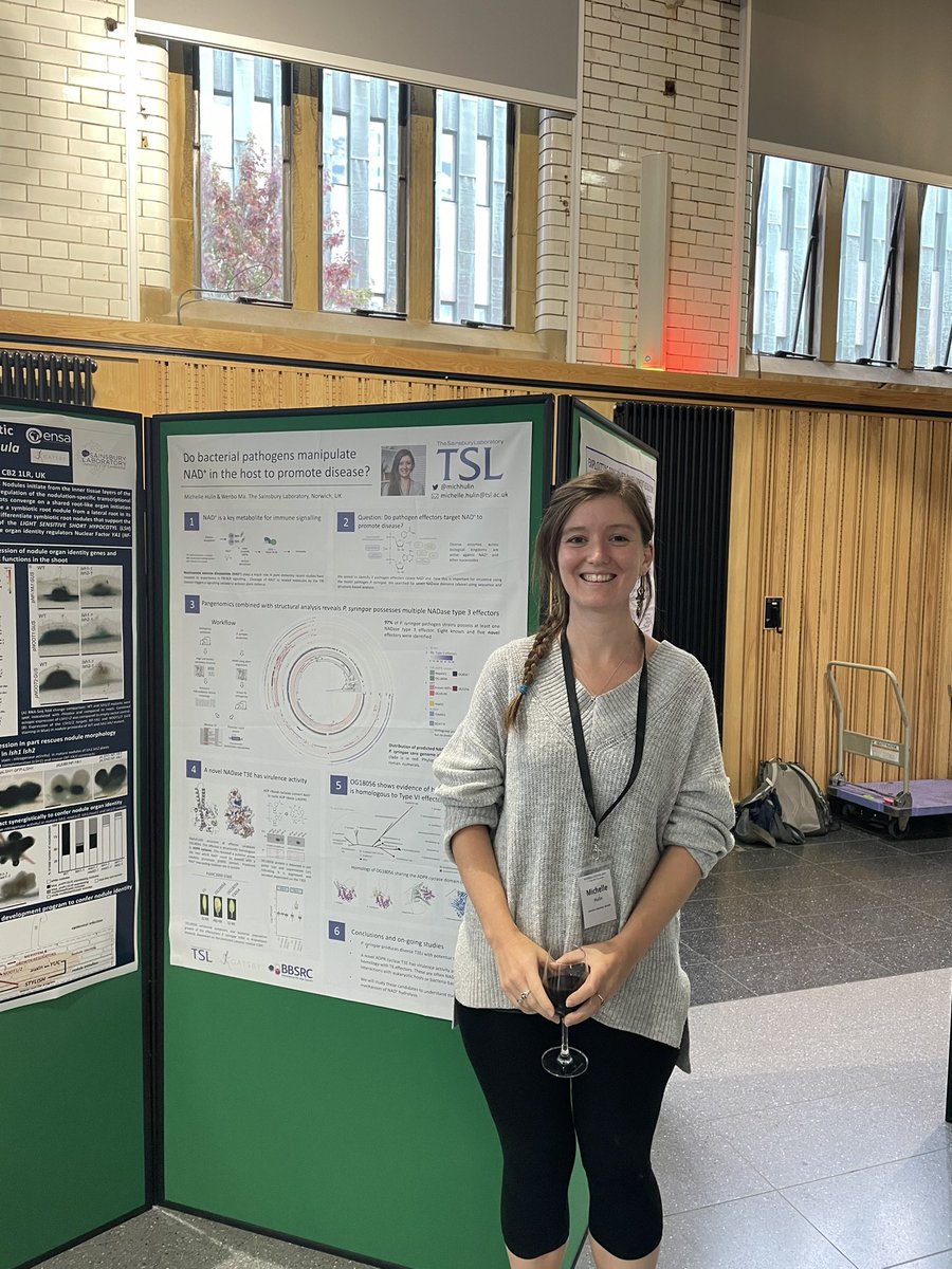 wenboEffector's tweet photo. Poster session! #bspp2022 make sure to visit @michhulin who is presenting exciting new findings on type 3 effectors with NADase activity. Pangenomics, structure modeling, docking, and function! @TheSainsburyLab https://t.co/2sGk3vifCs
