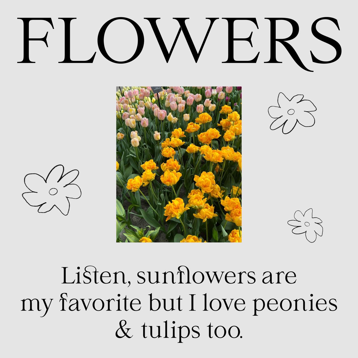 CONCOURS!

Pour la sortie de ma typo TANGERINE, j'organise un petit concours pour gagner la licence BRANDING XS! 

Pour participer il faut: 
- Suivre <a href="/sen_vz/">KC Emilie Sen</a> 
- Like+RT ce tweet 

Si tu n'as pas trop de chance dans la vie, elle est dispo à l'achat ici: 
tangerine.emilievizcano.com