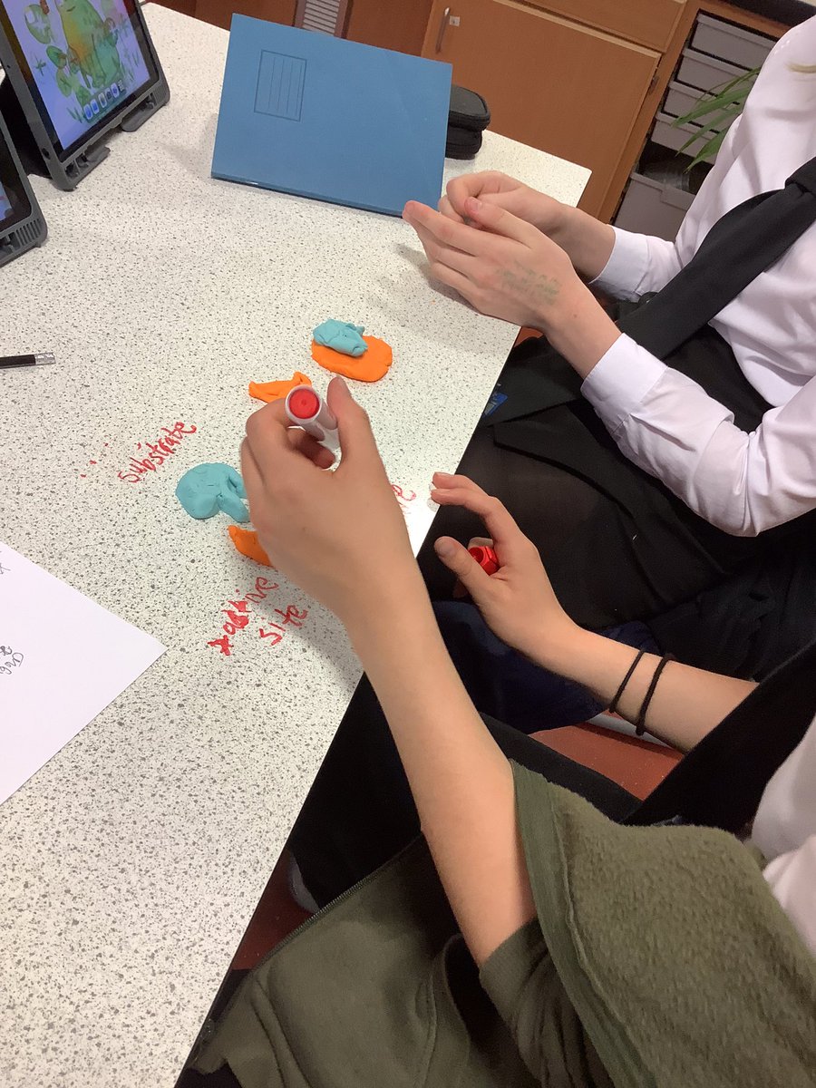 Tynecastle Biology tweet media