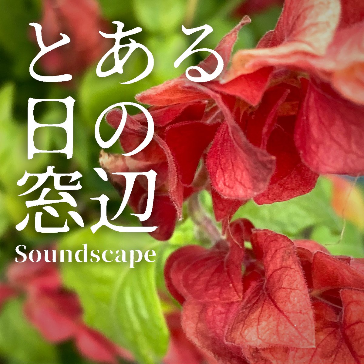 toaruhinomadobe's tweet photo. 音景色追加しました
#ポッドキャスト 【 #とある日の窓辺 】
"とある日の秋の気配(ep64)"

「秋の匂いがしました」

とある日常の音景色です
#音景色 #soundscape #癒し #ASMR

itunes
https://t.co/WSM7nysUun

anchor
https://t.co/gUodBPbOBC

Spotify
https://t.co/rTllx7bKcg https://t.co/0hadsPSbSJ