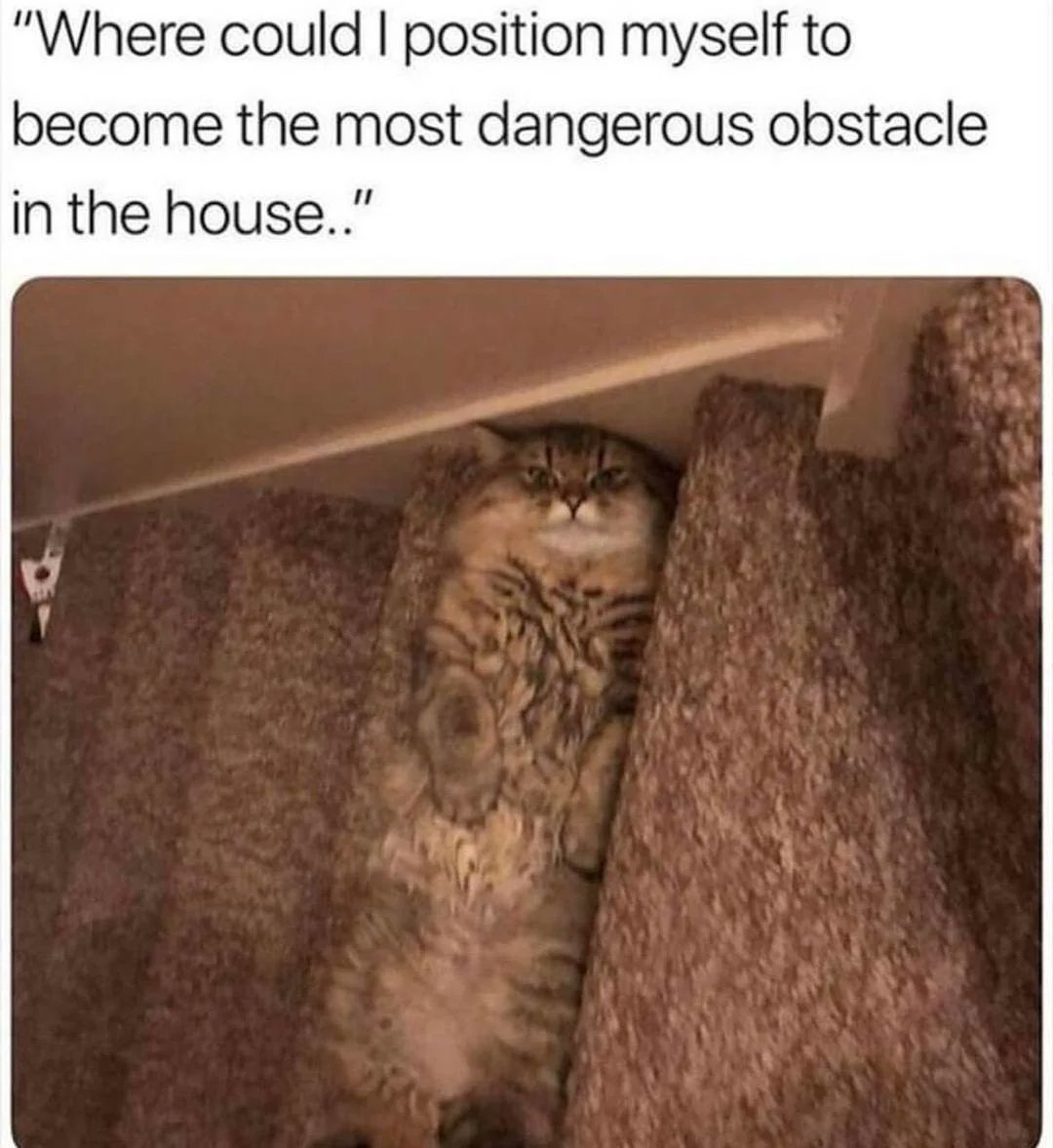 WholesomeMeme's tweet photo. https://t.co/TEpgsJjxrw