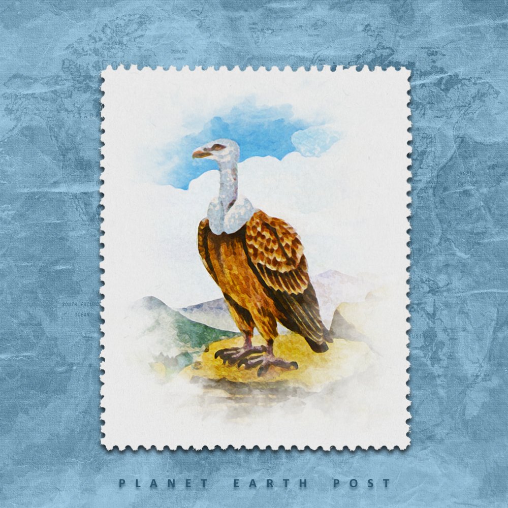 postman_alien's tweet photo. New #NFT from the mini-series "Predator birds"❗️
For collectors, #NFTs will be presented with and without cancellation.
https://t.co/szthqKHFQd
#nftpep  #nftcollector #nftcommunity #nftcollectors  #postagestamp #alienpostman #planetearthpost #pep #pEp https://t.co/DScxGyOTZV