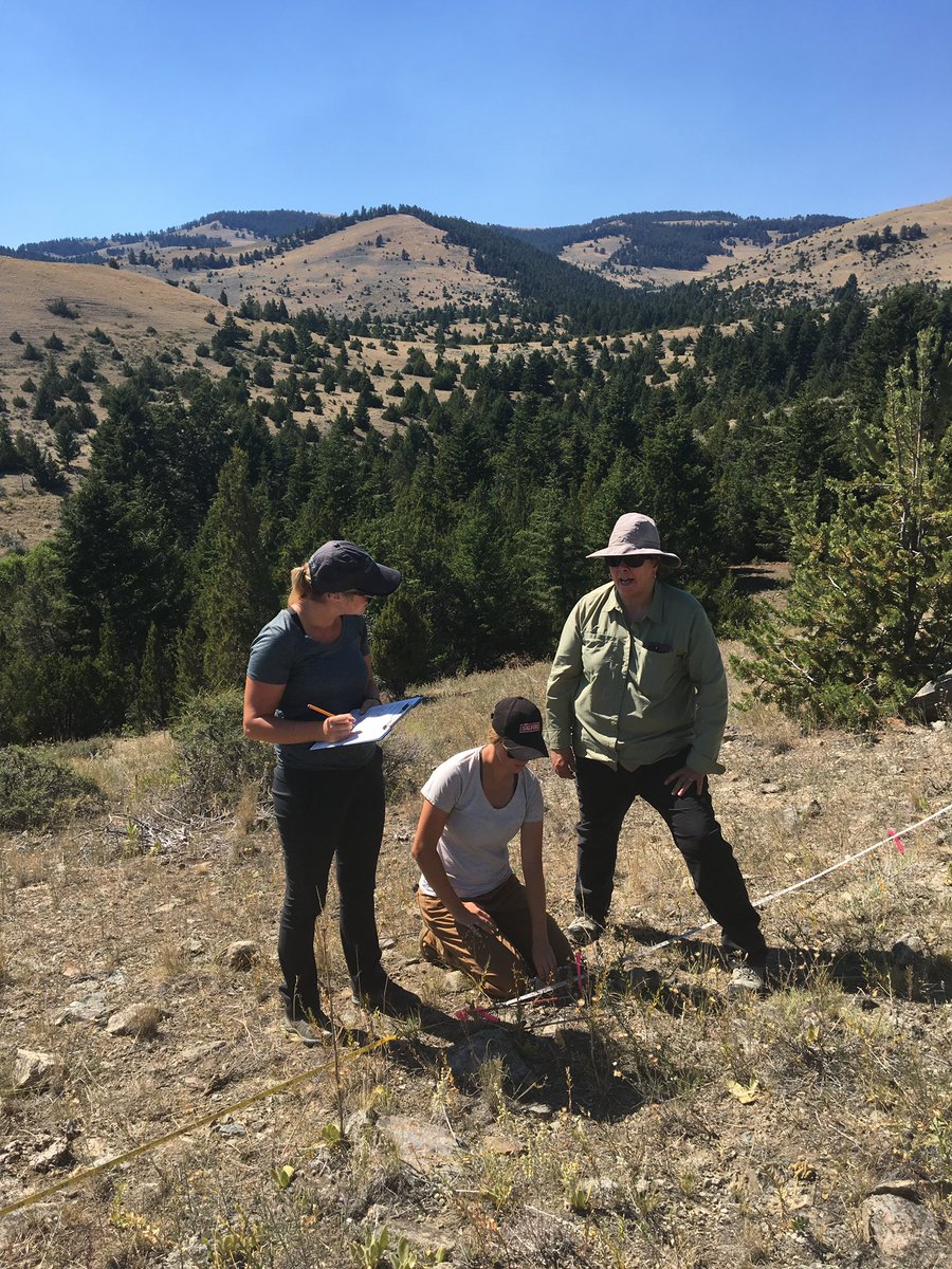 Emily Duenk tweet media