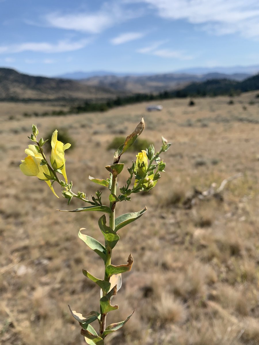 Emily Duenk tweet media