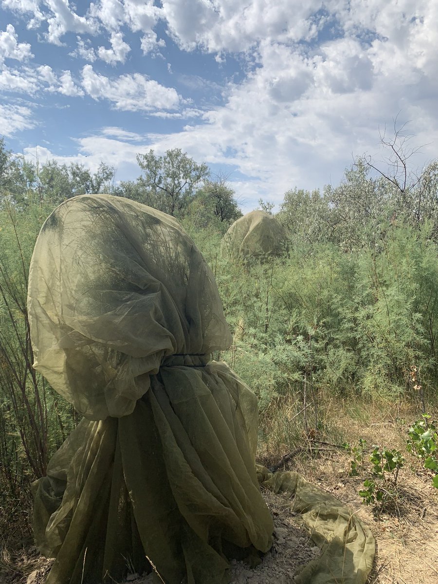 Emily Duenk tweet media