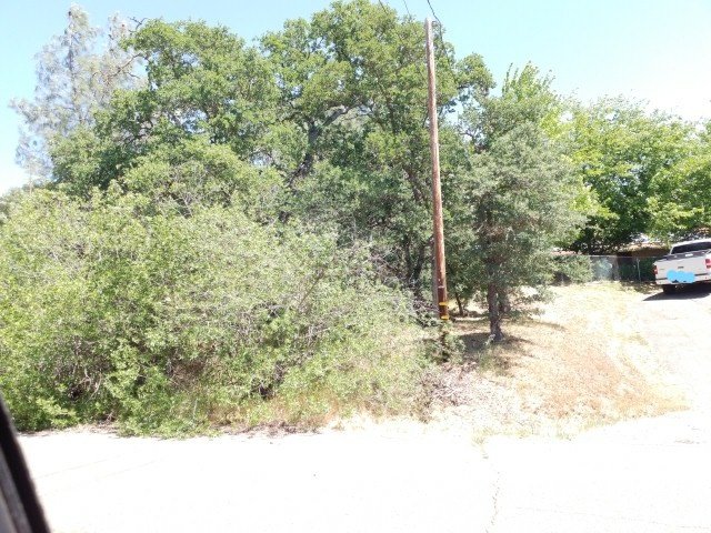 ButteCodeEnf's tweet photo. Another Chapter 38a Defensible Space clean up.  Remember to be a good neighbor. https://t.co/ryj8mu31Xd