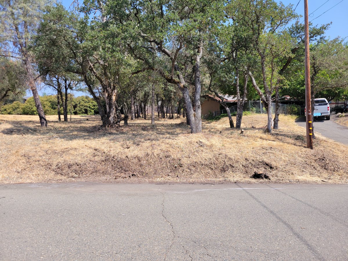 ButteCodeEnf's tweet photo. Another Chapter 38a Defensible Space clean up.  Remember to be a good neighbor. https://t.co/ryj8mu31Xd