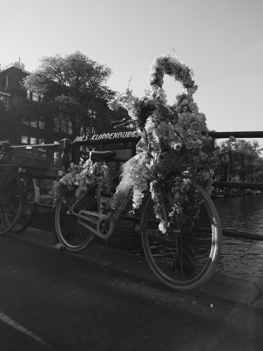 Lotussekai's tweet photo. A bicycle is a bicycle is a bicycle !!
#streetphotography #streetphoto #art #culture #travel #europe #Amsterdam #Netherlands #walk #bike #bicycle #photo #blackandwhitephotography https://t.co/52mh6WPhFd