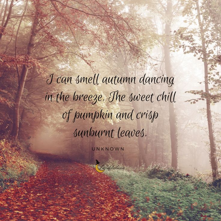 My soul shifts in September ❤️🧡💛

📸 Pinterest 
#5wordspoet 
#poetrycommunity
#falliscoming