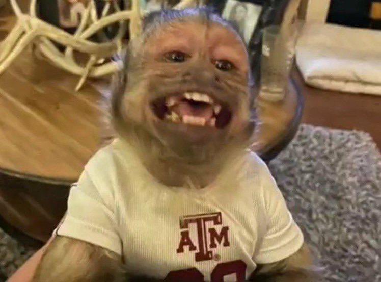 Preciso de amizades aqui.