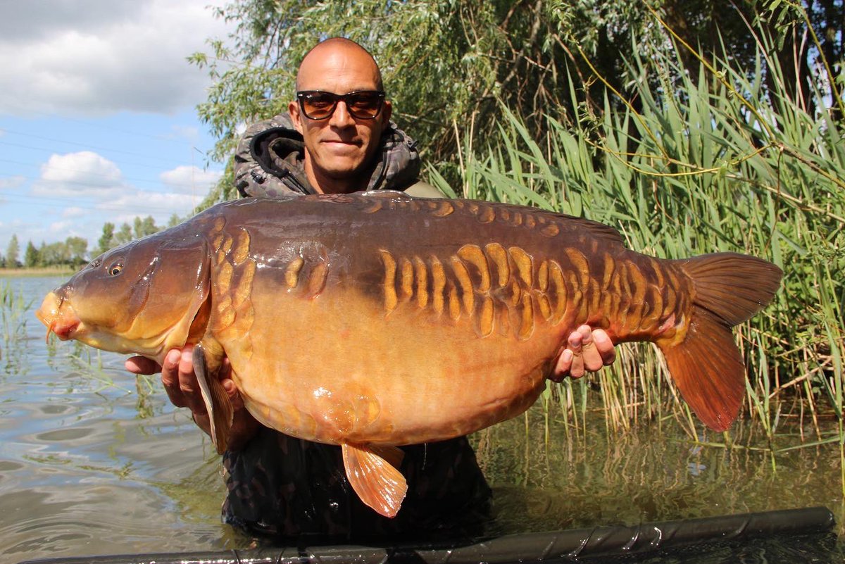 AliHamidi's tweet photo. 💥 NEW TV SERIES💥 Who’s excited? Starts 9pm October 3rd on @ITV4 ! The Grand Fishing Adventure Season 1 charts an incredible tour of the UK for @RobertZamora25 &amp; I! We catch #monsters , we eat well thanks to @midsummerchef 🙌🏽We hope you love this new series! https://t.co/XAoxmowvmG