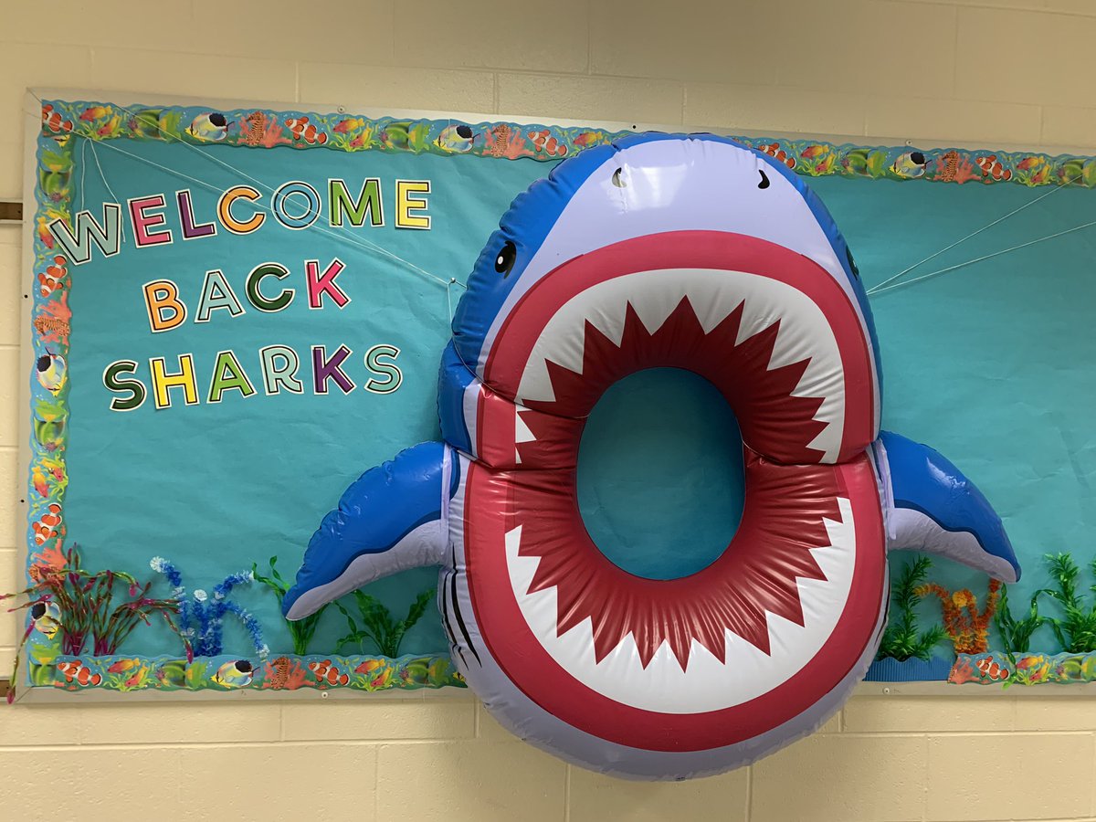 Willard Sharks (@willardmodeles) on Twitter photo 