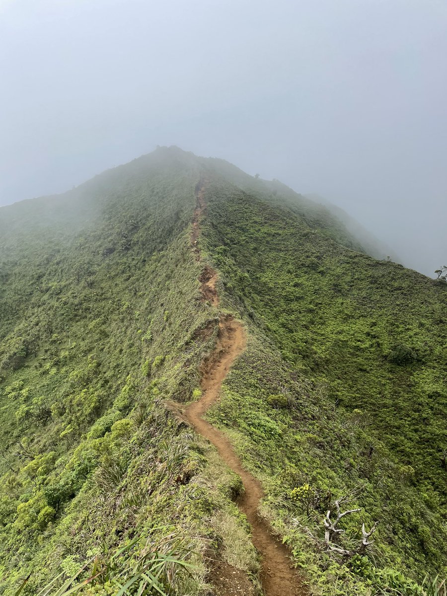 viaisabelle's tweet photo. This was by far the CRAZIEST, exhilarating and most breathtaking hike I have ever did https://t.co/HzcOyfBD83